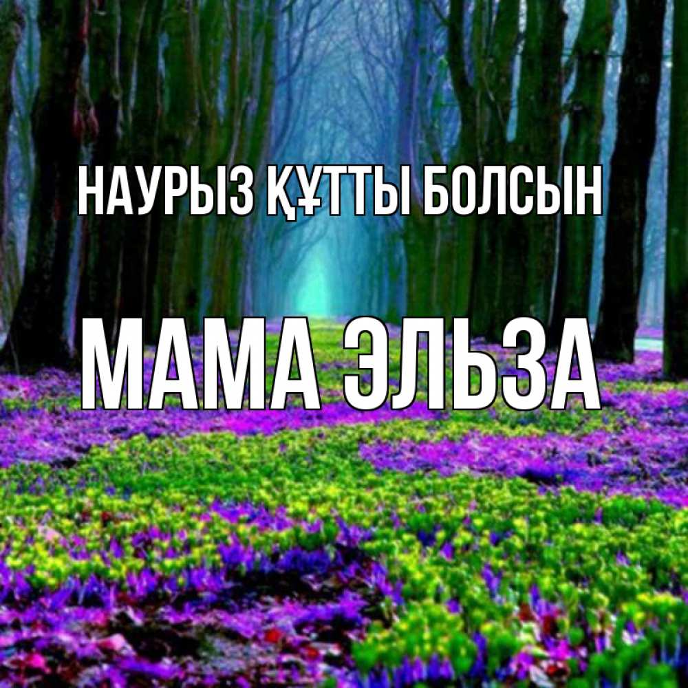 Открытка на каждый день с именем, Мама-Эльза Наурыз құтты болсын фиолетовые цветы в лесу 1 Прикольная открытка с пожеланием онлайн скачать бесплатно 
