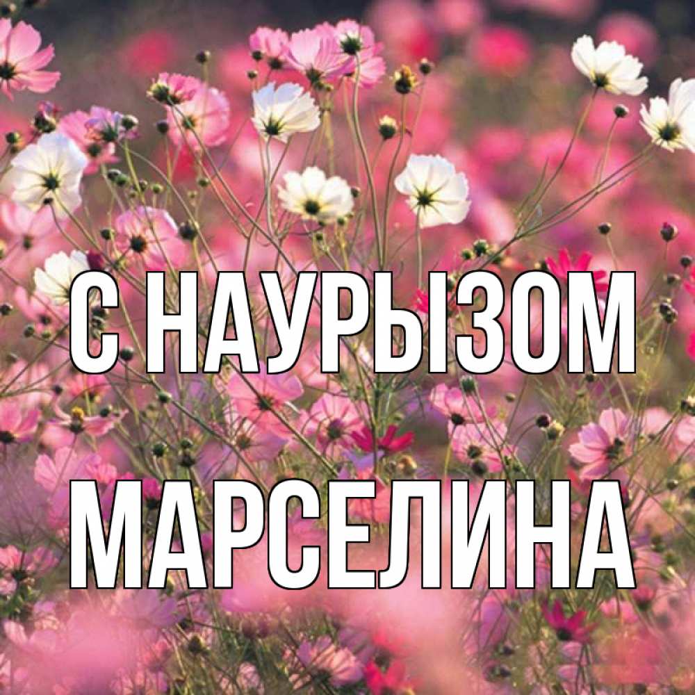 Открытка на каждый день с именем, Марселина С наурызом красиво 1 Прикольная открытка с пожеланием онлайн скачать бесплатно 