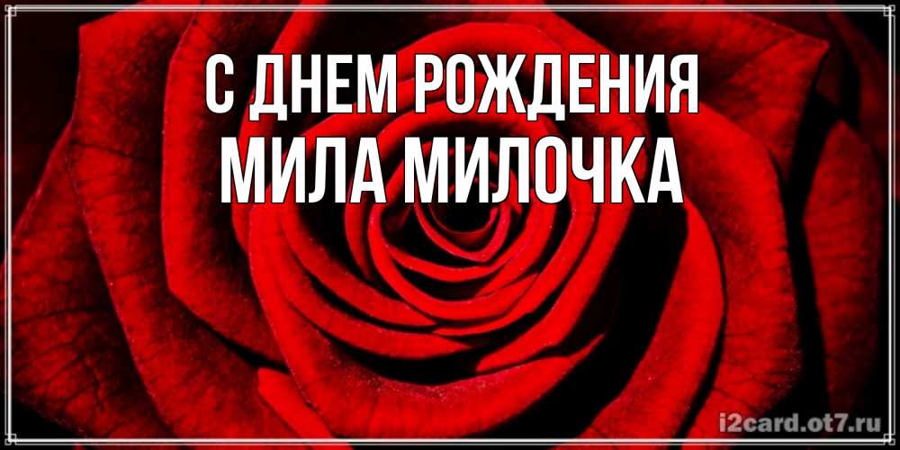 Открытка на каждый день с именем, Мила-Милочка С днем рождения алая роза Прикольная открытка с пожеланием онлайн скачать бесплатно 