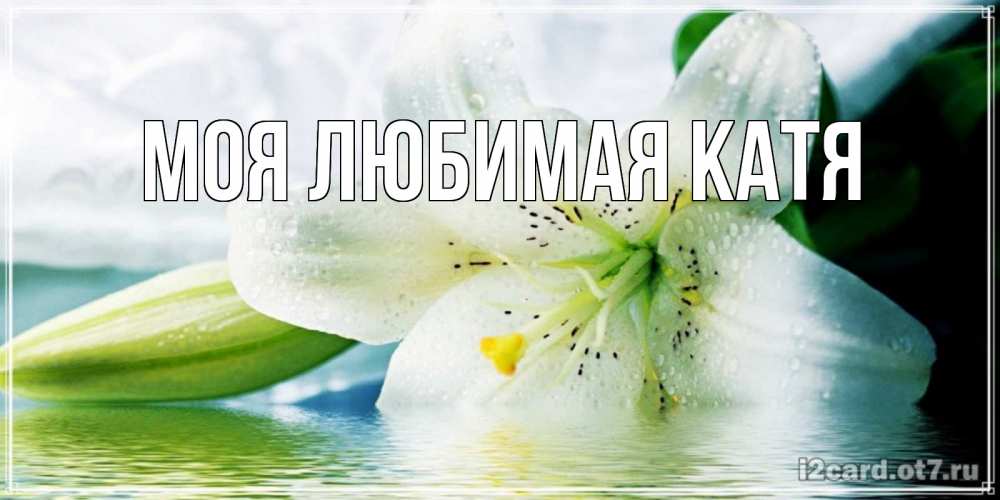 Открытка на каждый день с именем, Моя-любимая-Катя Главная лилия на открытке ко дню рождения Прикольная открытка с пожеланием онлайн скачать бесплатно 