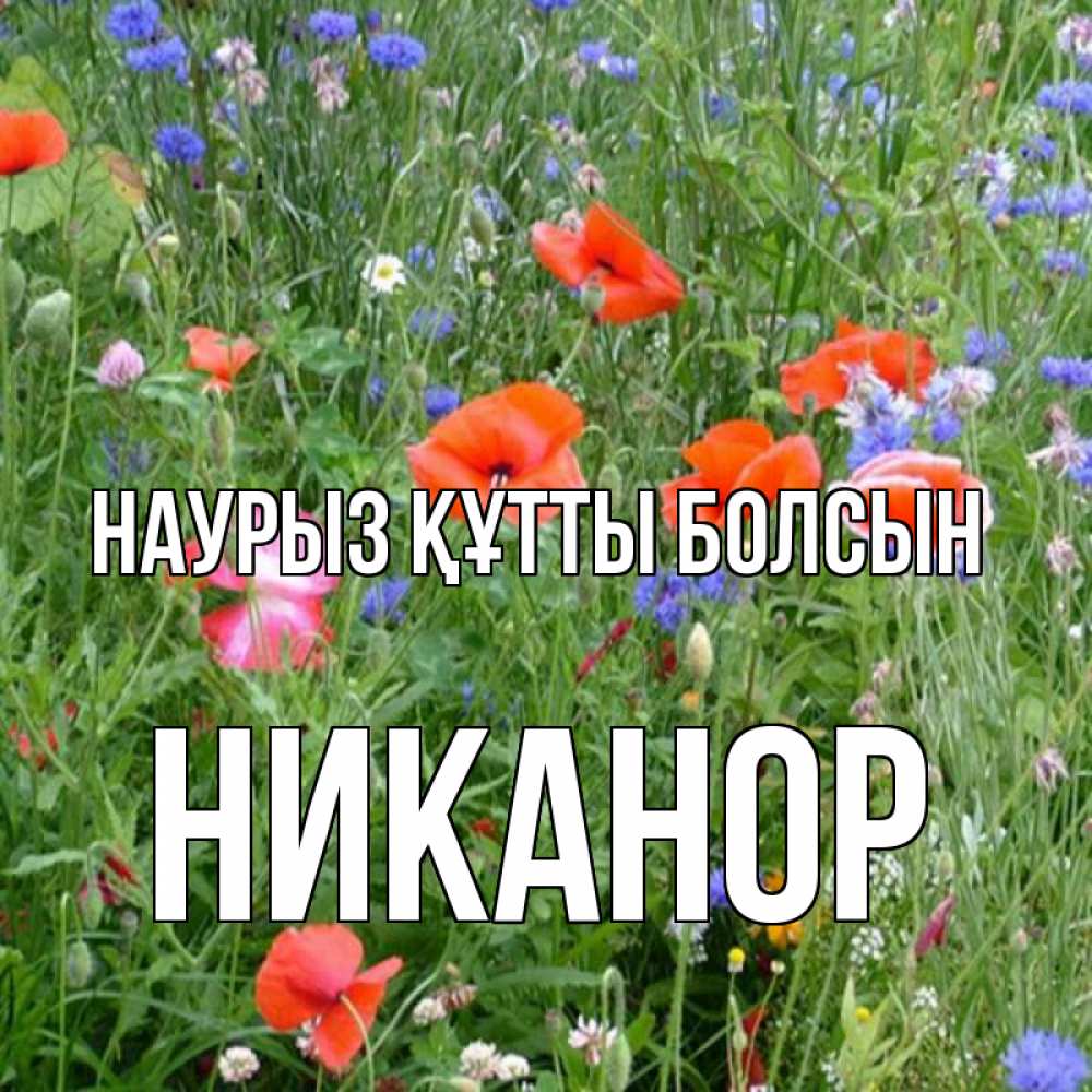 Открытка на каждый день с именем, Никанор Наурыз құтты болсын наурыз  4 Прикольная открытка с пожеланием онлайн скачать бесплатно 