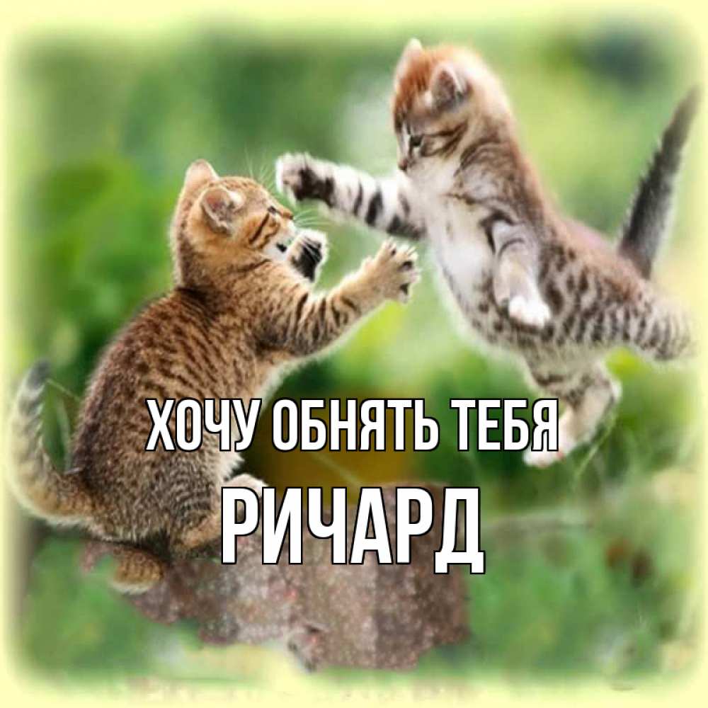 Открытка на каждый день с именем, Ричард Хочу обнять тебя игры котят Прикольная открытка с пожеланием онлайн скачать бесплатно 
