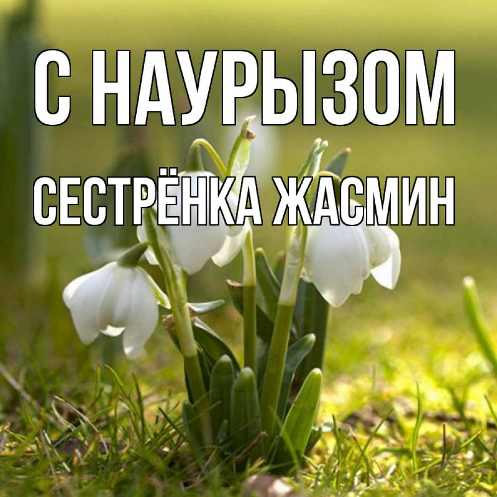 Открытка на каждый день с именем, Сестрёнка-Жасмин С наурызом ранние цветы 2 Прикольная открытка с пожеланием онлайн скачать бесплатно 
