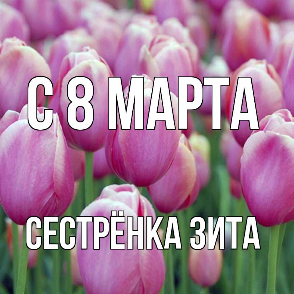 Открытка на каждый день с именем, Сестрёнка-Зита С 8 МАРТА на международный женский день 3 Прикольная открытка с пожеланием онлайн скачать бесплатно 
