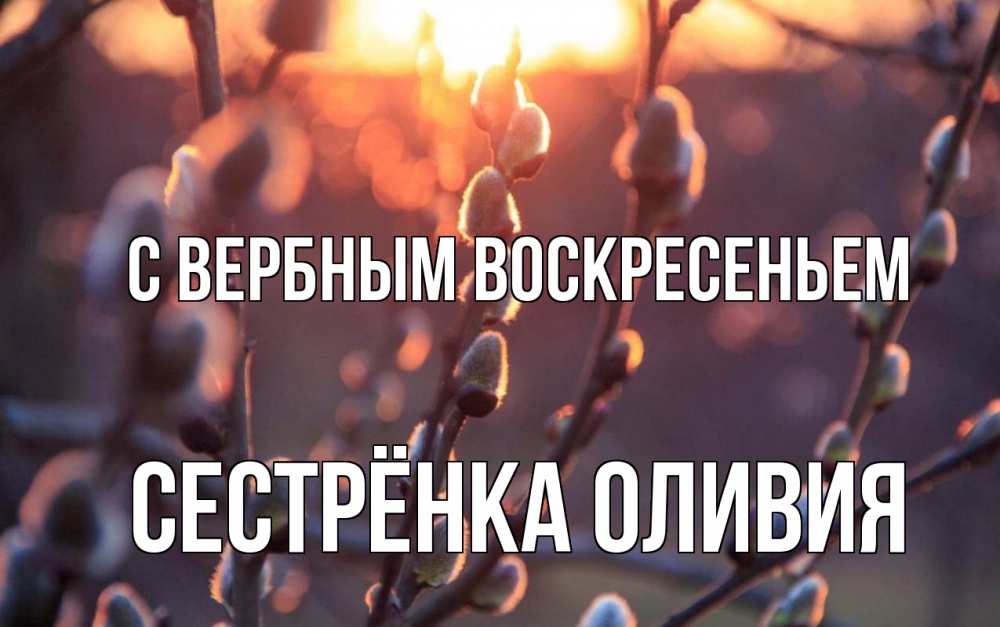 Открытка на каждый день с именем, Сестрёнка-Оливия С вербным воскресеньем верба Прикольная открытка с пожеланием онлайн скачать бесплатно 