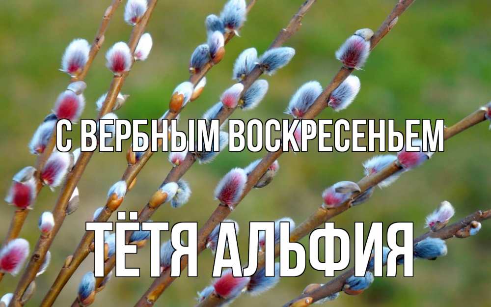 Открытка на каждый день с именем, Тётя-Альфия С вербным воскресеньем верба Прикольная открытка с пожеланием онлайн скачать бесплатно 