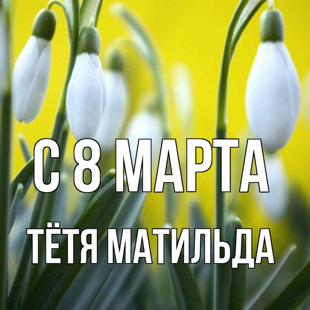Открытка на каждый день с именем, Тётя-Матильда С 8 МАРТА весенние цветы Прикольная открытка с пожеланием онлайн скачать бесплатно 