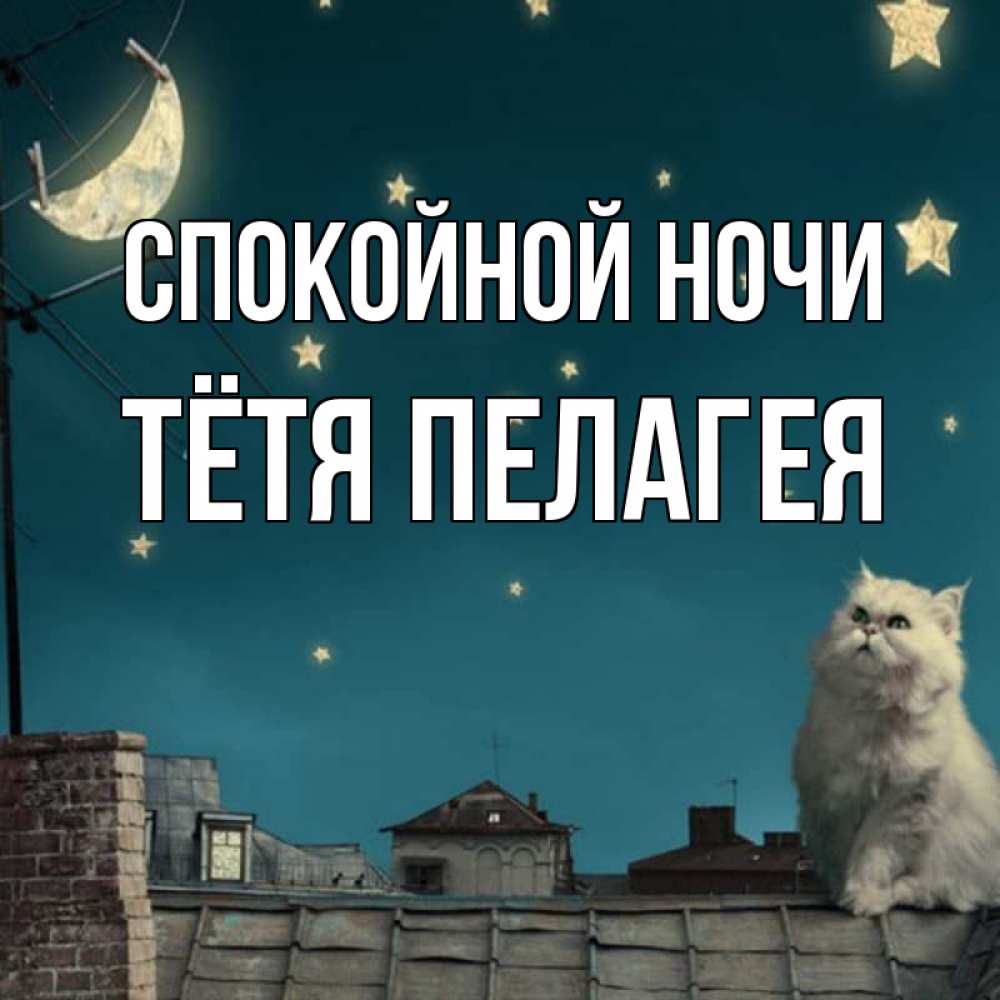 Открытка на каждый день с именем, Тётя-Пелагея Спокойной ночи белый кот сидит на крыше Прикольная открытка с пожеланием онлайн скачать бесплатно 