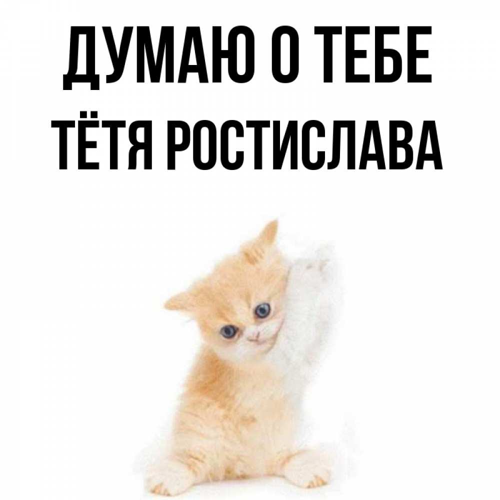 Открытка на каждый день с именем, Тётя-Ростислава Думаю о тебе зверушки и милота Прикольная открытка с пожеланием онлайн скачать бесплатно 