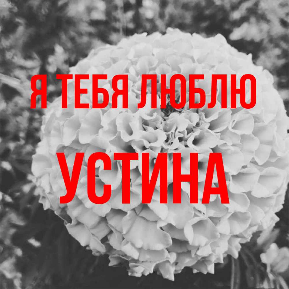 Открытка на каждый день с именем, Устина Я тебя люблю подпись Прикольная открытка с пожеланием онлайн скачать бесплатно 