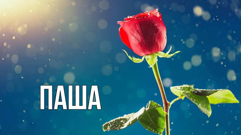 Открытка на каждый день с именем, паша Главная с днем знаний Прикольная открытка с пожеланием онлайн скачать бесплатно 