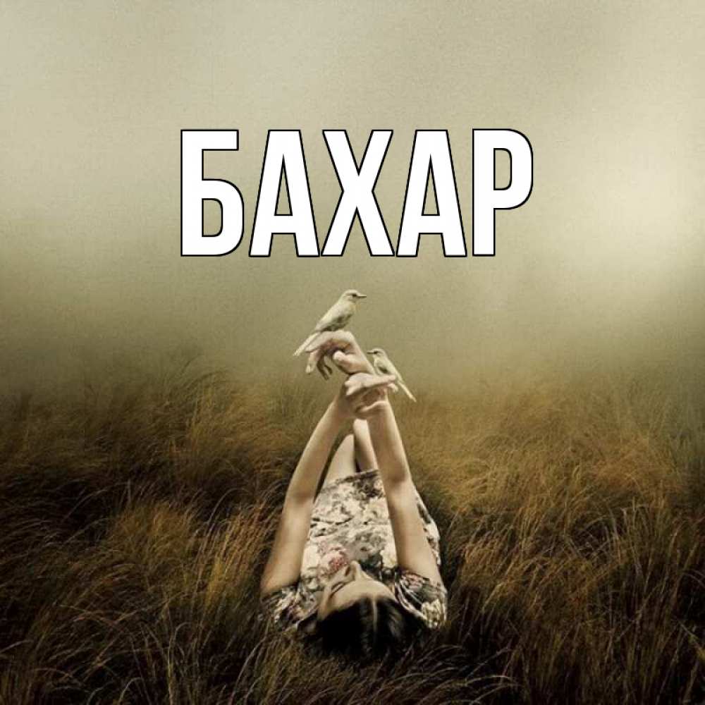 Открытка на каждый день с именем, Бахар Главная поле и туман Прикольная открытка с пожеланием онлайн скачать бесплатно 