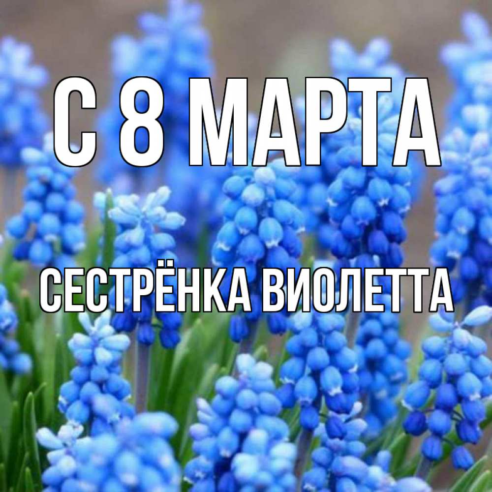 Открытка на каждый день с именем, Сестрёнка-Виолетта С 8 МАРТА Поздравительная открытка для женщин с цветами на праздничную дату Прикольная открытка с пожеланием онлайн скачать бесплатно 