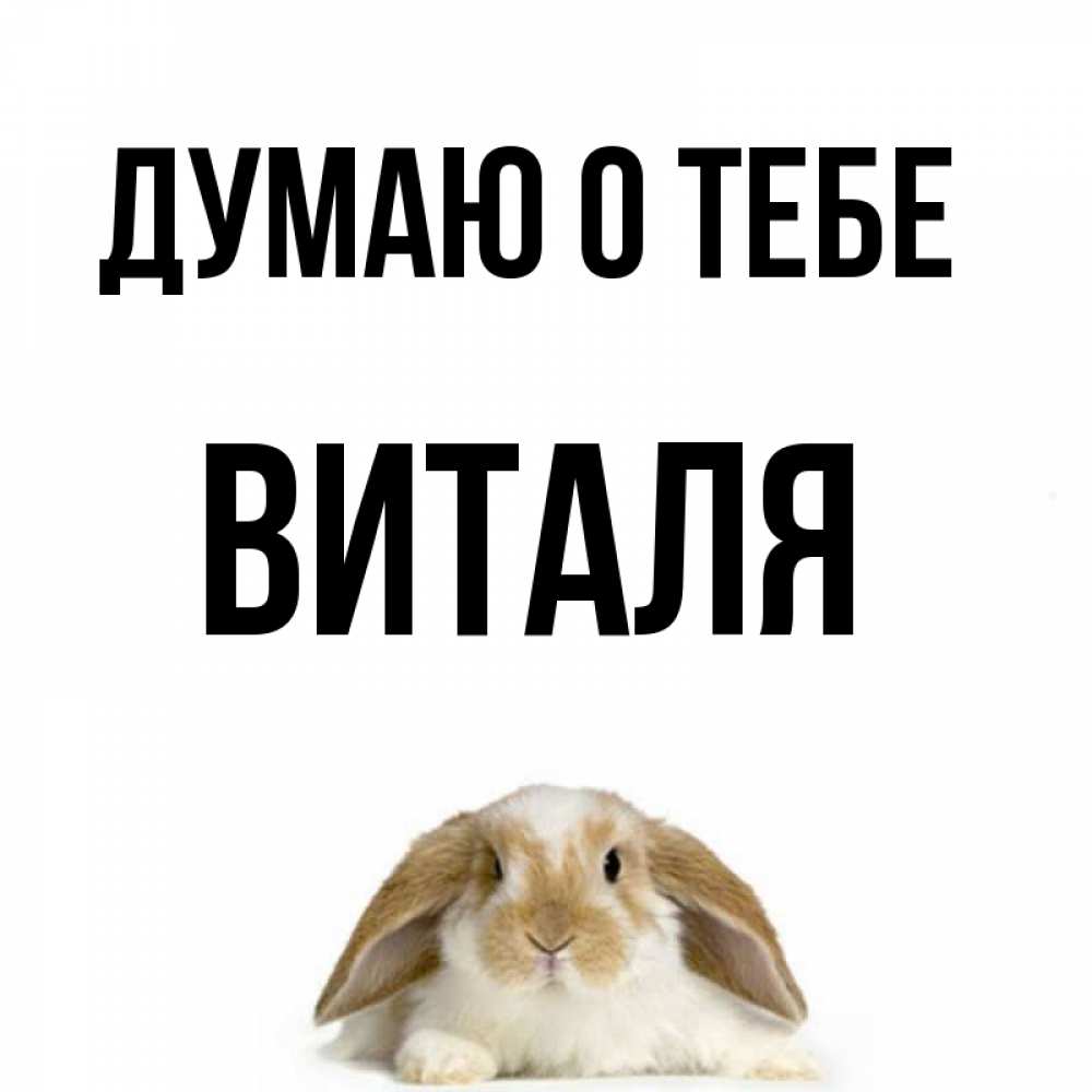 Открытка на каждый день с именем, Виталя Думаю о тебе подписать своими руками онлайн Прикольная открытка с пожеланием онлайн скачать бесплатно 