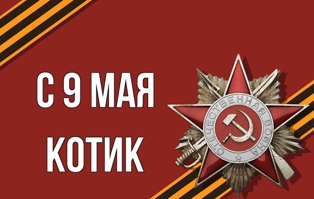 Картинка С 9 мая, котик