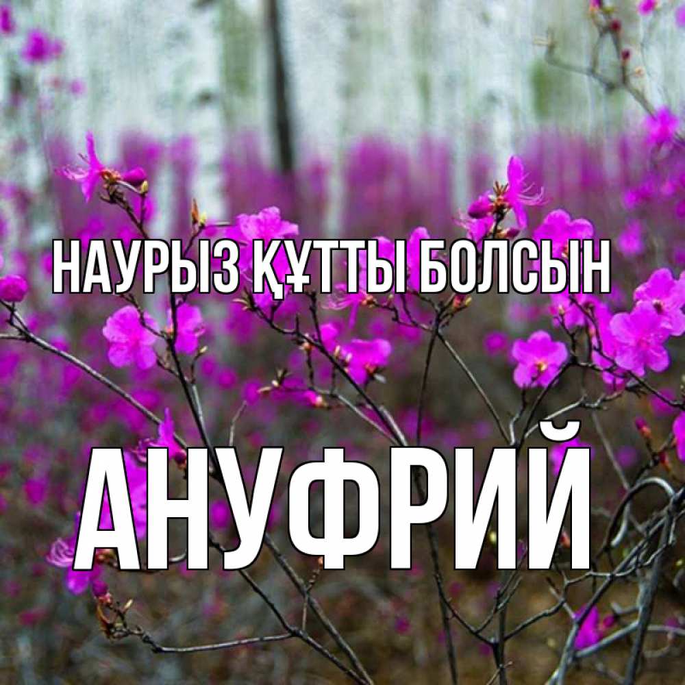 Открытка на каждый день с именем, Ануфрий Наурыз құтты болсын дикие цветы Прикольная открытка с пожеланием онлайн скачать бесплатно 