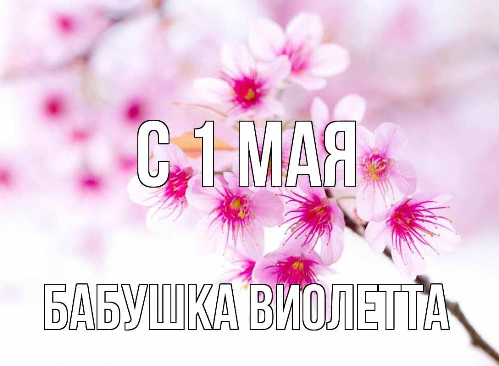 Открытка на каждый день с именем, Бабушка-Виолетта С 1 мая С 1 мая 2 Прикольная открытка с пожеланием онлайн скачать бесплатно 