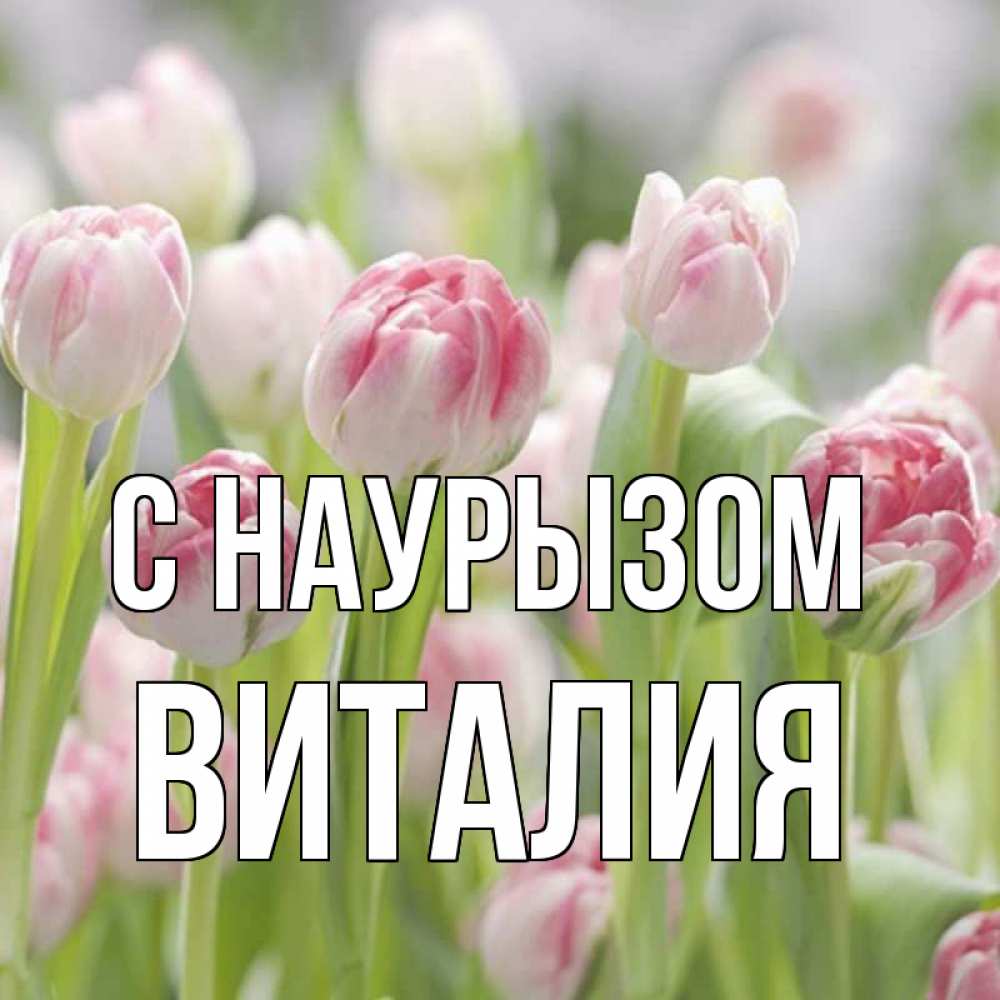 Открытка на каждый день с именем, Виталия С наурызом цветы Прикольная открытка с пожеланием онлайн скачать бесплатно 