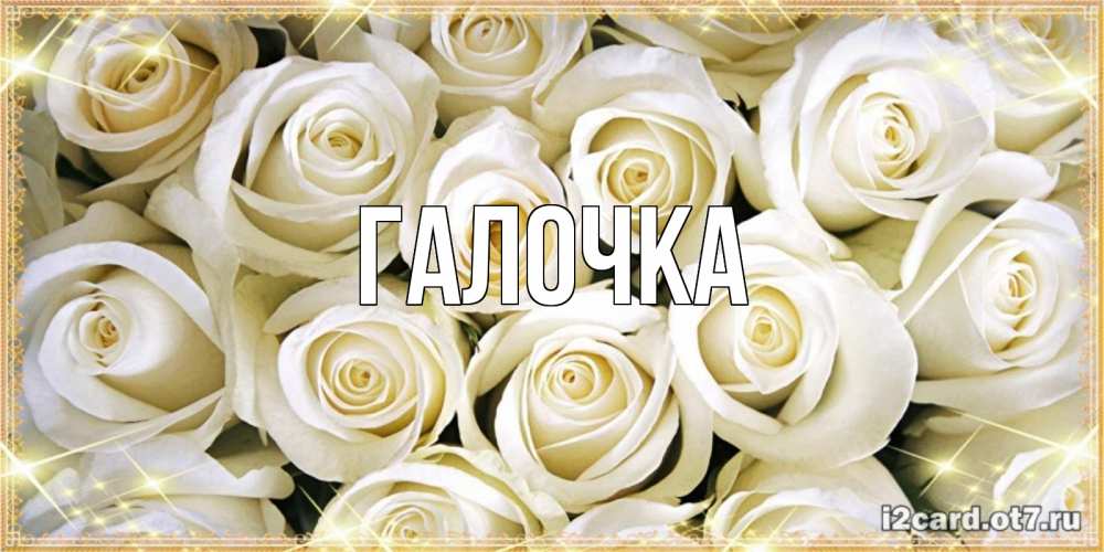 Открытка на каждый день с именем, Галочка Главная открытка с белыми розами. большой букет белых роз Прикольная открытка с пожеланием онлайн скачать бесплатно 