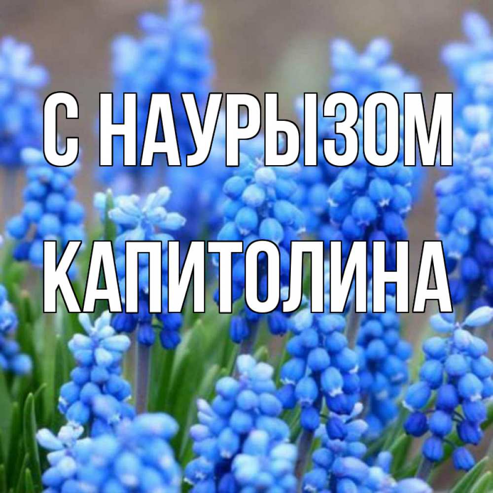 Открытка на каждый день с именем, Капитолина С наурызом Поздравительная открытка для женщин с цветами на праздничную дату Прикольная открытка с пожеланием онлайн скачать бесплатно 