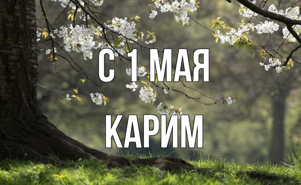 Открытка на каждый день с именем, Карим С 1 мая С 1 мая Прикольная открытка с пожеланием онлайн скачать бесплатно 
