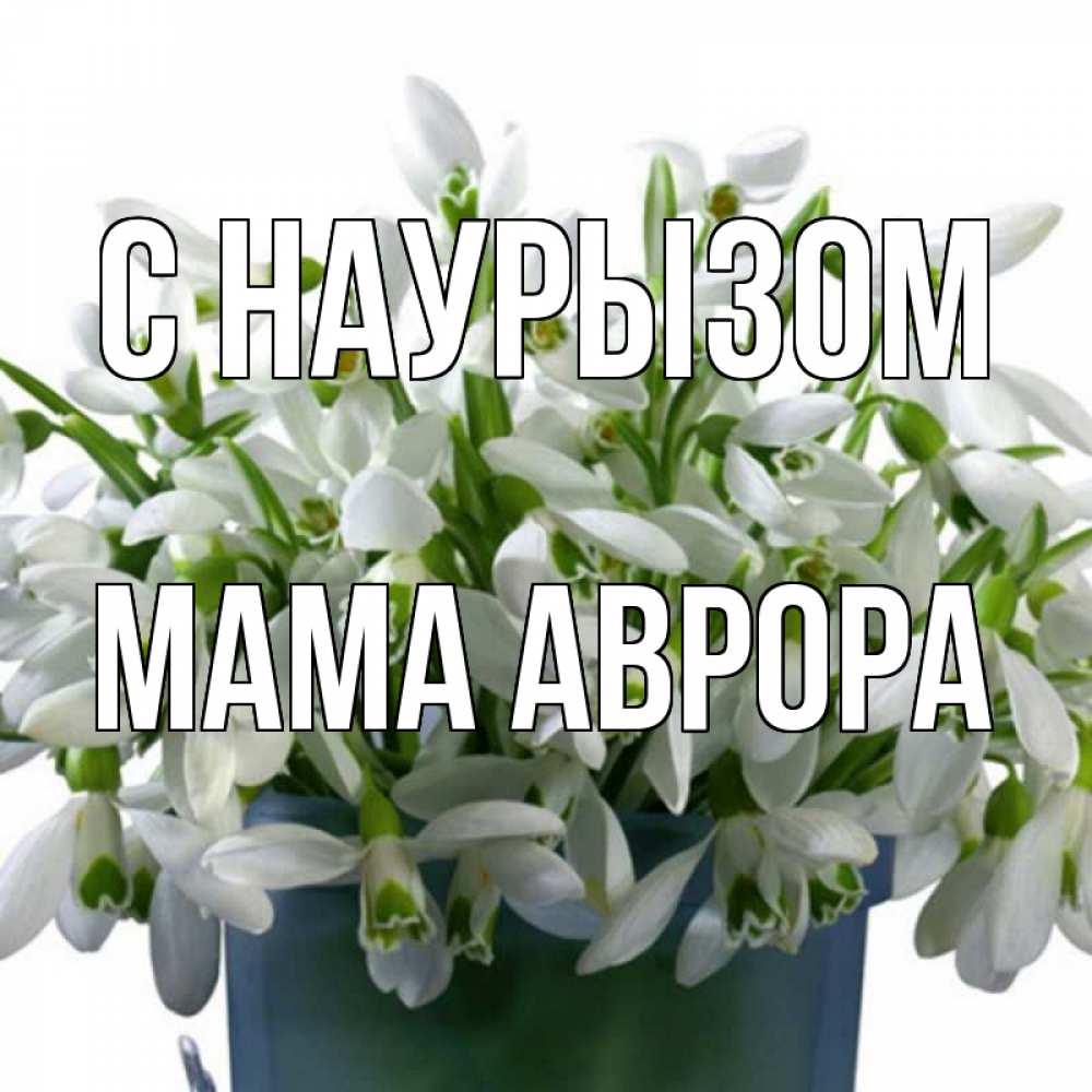 Открытка на каждый день с именем, Мама-Аврора С наурызом цветы к наурызу новый год в Казахстане Прикольная открытка с пожеланием онлайн скачать бесплатно 