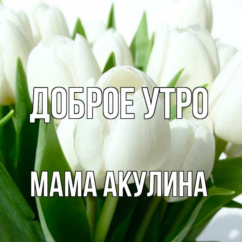 Открытка на каждый день с именем, Мама-Акулина Доброе утро открытки на каждый день по именам Прикольная открытка с пожеланием онлайн скачать бесплатно 