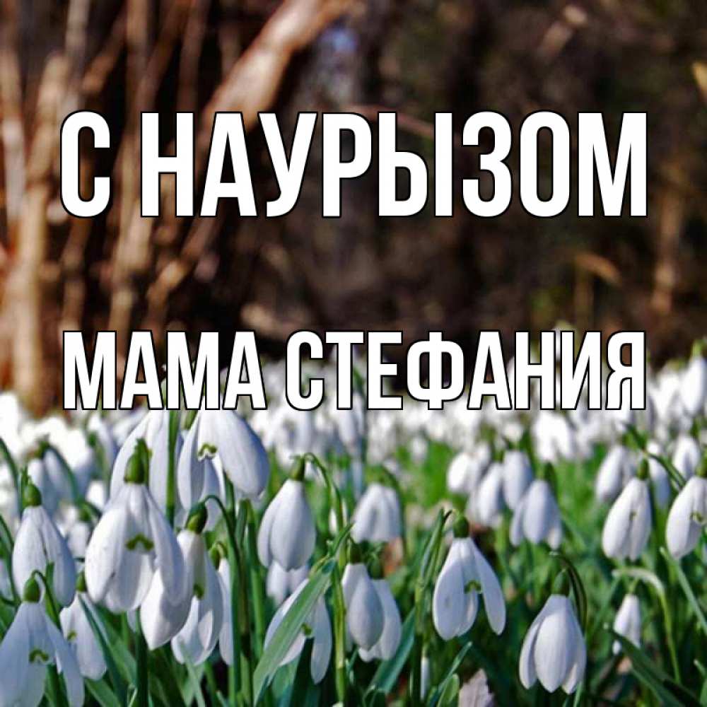 Открытка на каждый день с именем, Мама-Стефания С наурызом с подснежниками 1 Прикольная открытка с пожеланием онлайн скачать бесплатно 