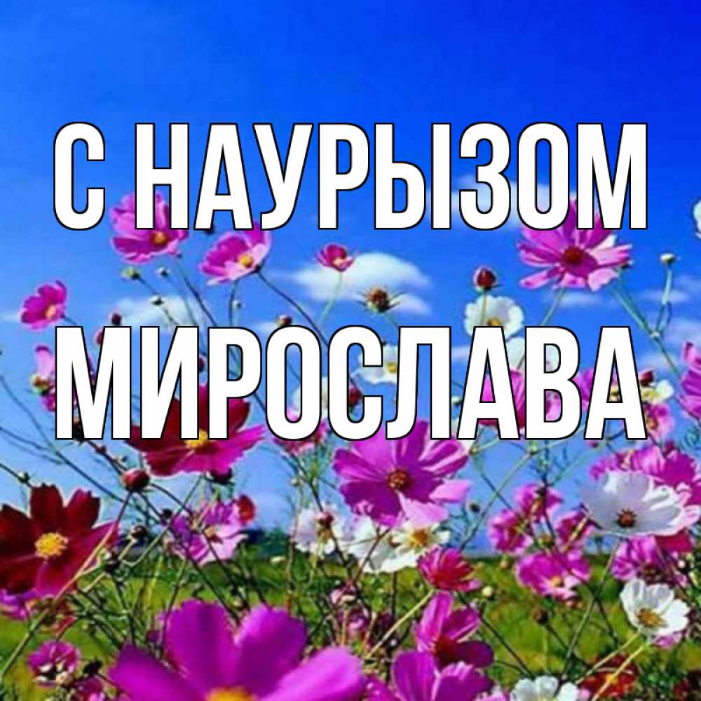 Открытка на каждый день с именем, Мирослава С наурызом цветы Прикольная открытка с пожеланием онлайн скачать бесплатно 