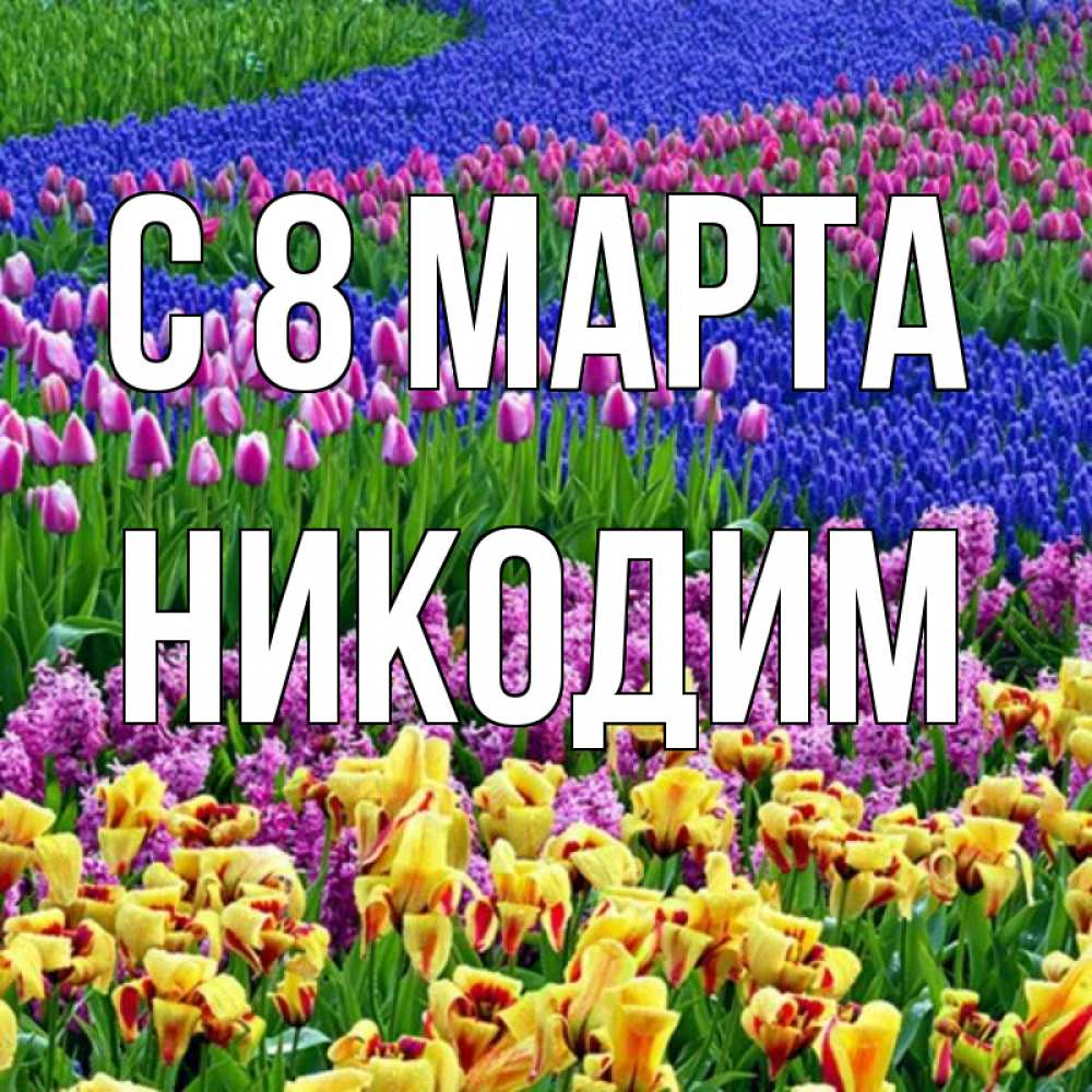 Открытка на каждый день с именем, Никодим С 8 МАРТА цветы Прикольная открытка с пожеланием онлайн скачать бесплатно 