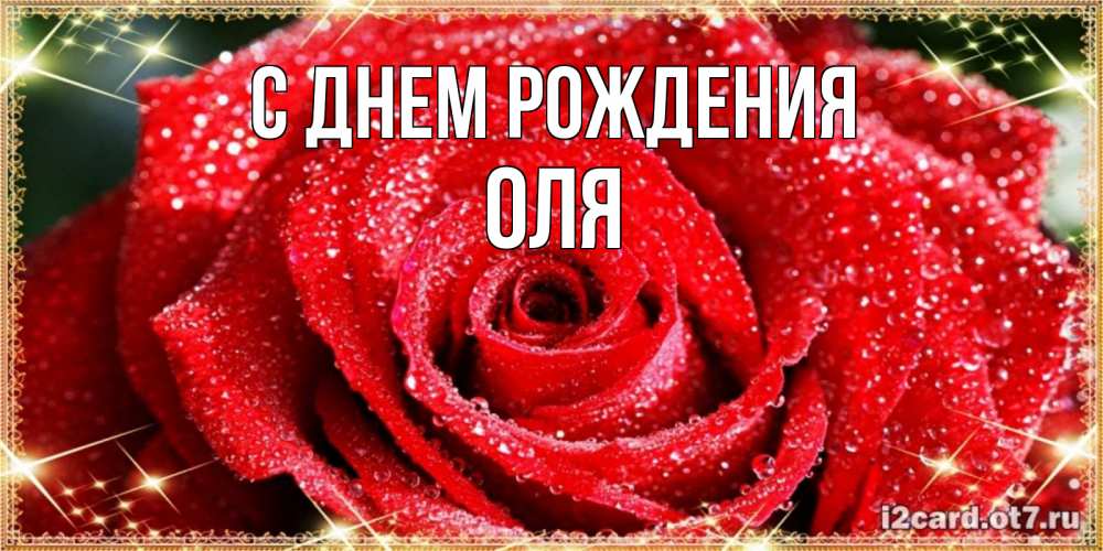 Открытка на каждый день с именем, ОЛЯ С днем рождения роса и роза. открытка с красивой розой Прикольная открытка с пожеланием онлайн скачать бесплатно 