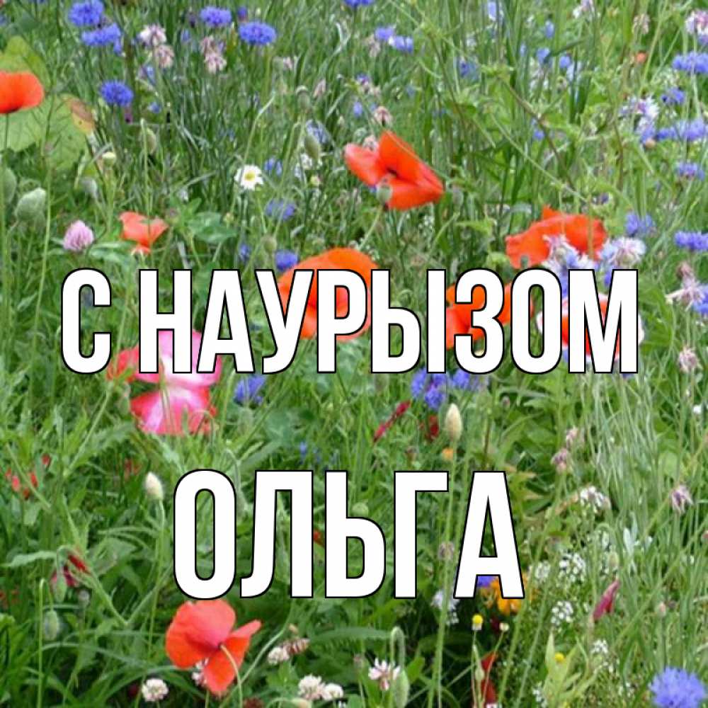 Открытка на каждый день с именем, Ольга С наурызом праздник весны наурыз супер открытка Прикольная открытка с пожеланием онлайн скачать бесплатно 