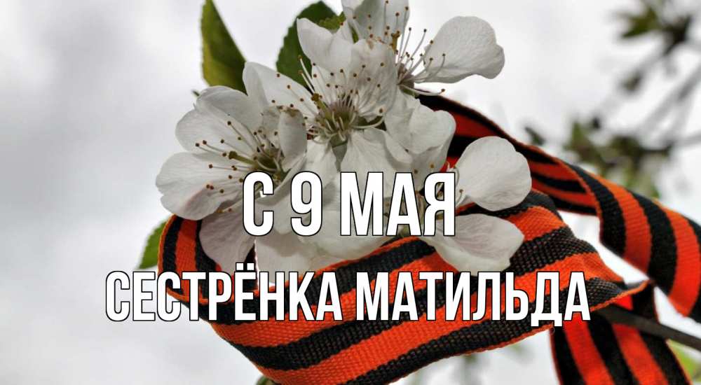 Открытка на каждый день с именем, Сестрёнка-Матильда С 9 мая 9 мая Прикольная открытка с пожеланием онлайн скачать бесплатно 