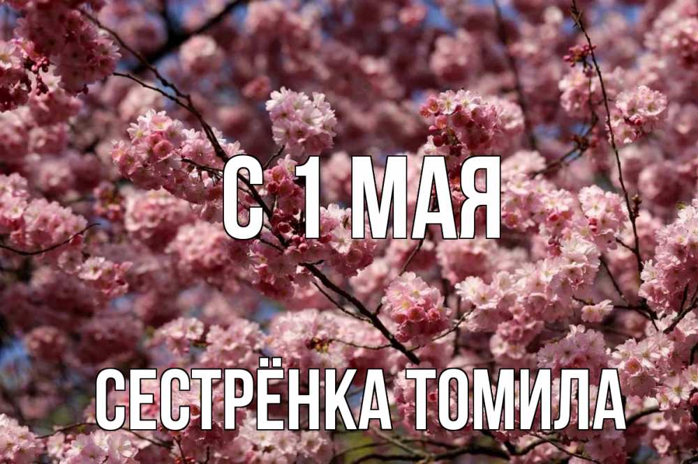 Открытка на каждый день с именем, Сестрёнка-Томила С 1 мая С 1 мая Прикольная открытка с пожеланием онлайн скачать бесплатно 