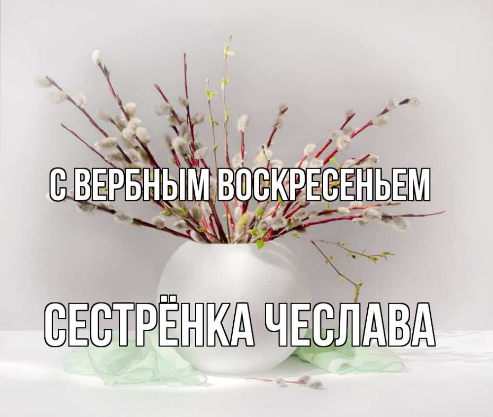 Открытка на каждый день с именем, Сестрёнка-Чеслава С вербным воскресеньем верба Прикольная открытка с пожеланием онлайн скачать бесплатно 