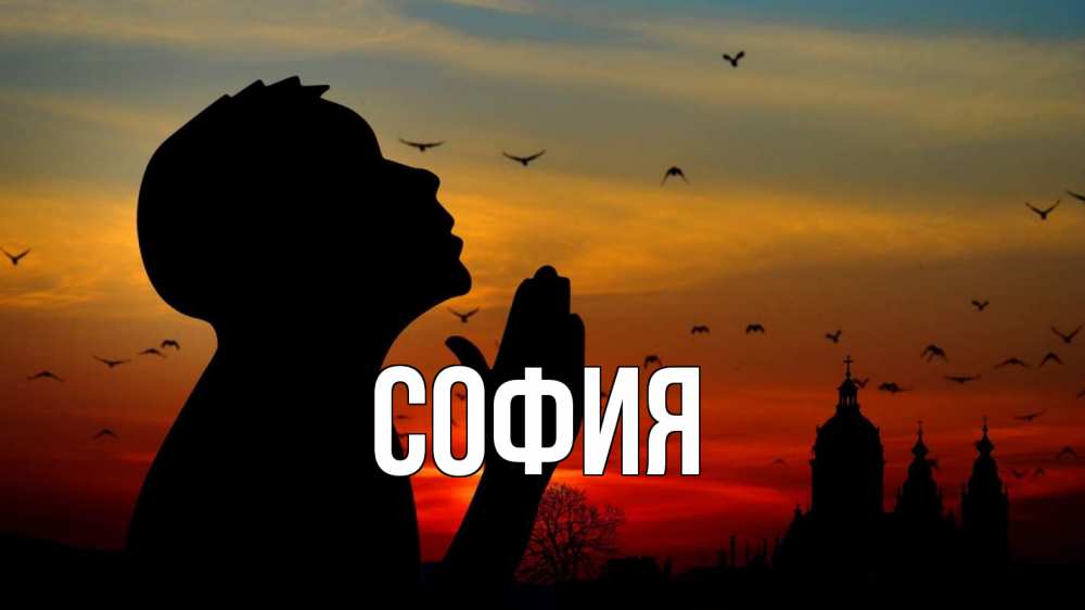 Открытка на каждый день с именем, София Главная прошу прощения Прикольная открытка с пожеланием онлайн скачать бесплатно 