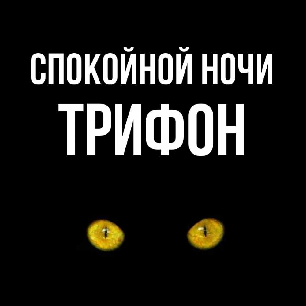 Открытка на каждый день с именем, Трифон Спокойной ночи сладких снов бесстрашный мой дружочек Прикольная открытка с пожеланием онлайн скачать бесплатно 