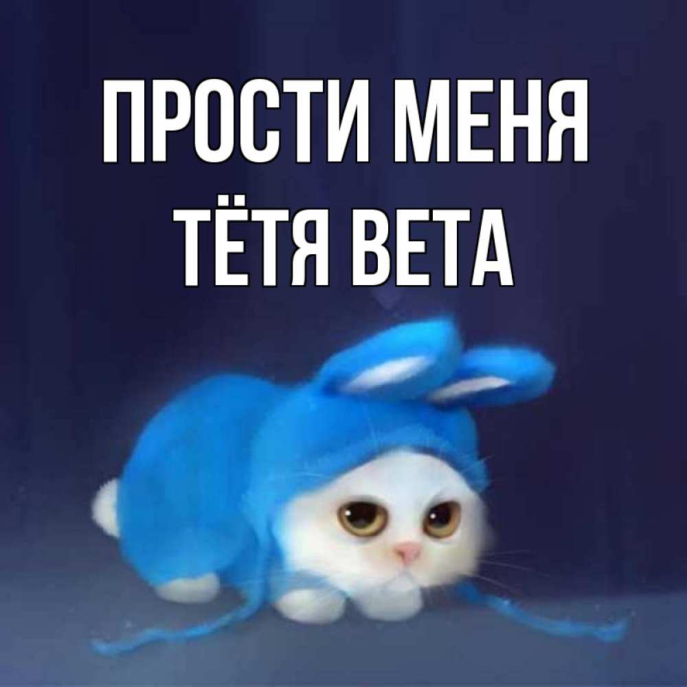 Открытка на каждый день с именем, Тётя-Вета Прости меня невинный котозай просит прощения Прикольная открытка с пожеланием онлайн скачать бесплатно 