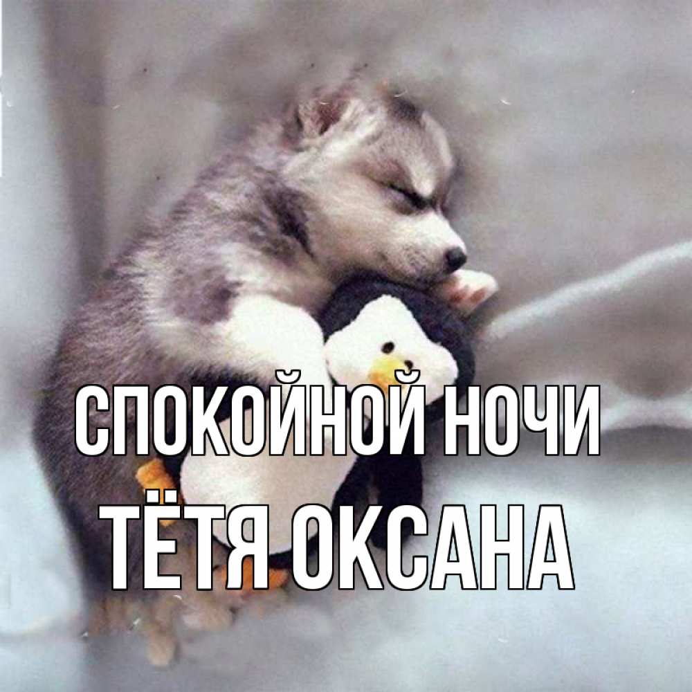 Открытка на каждый день с именем, Тётя-Оксана Спокойной ночи обнимашки щенка и пингвина Прикольная открытка с пожеланием онлайн скачать бесплатно 