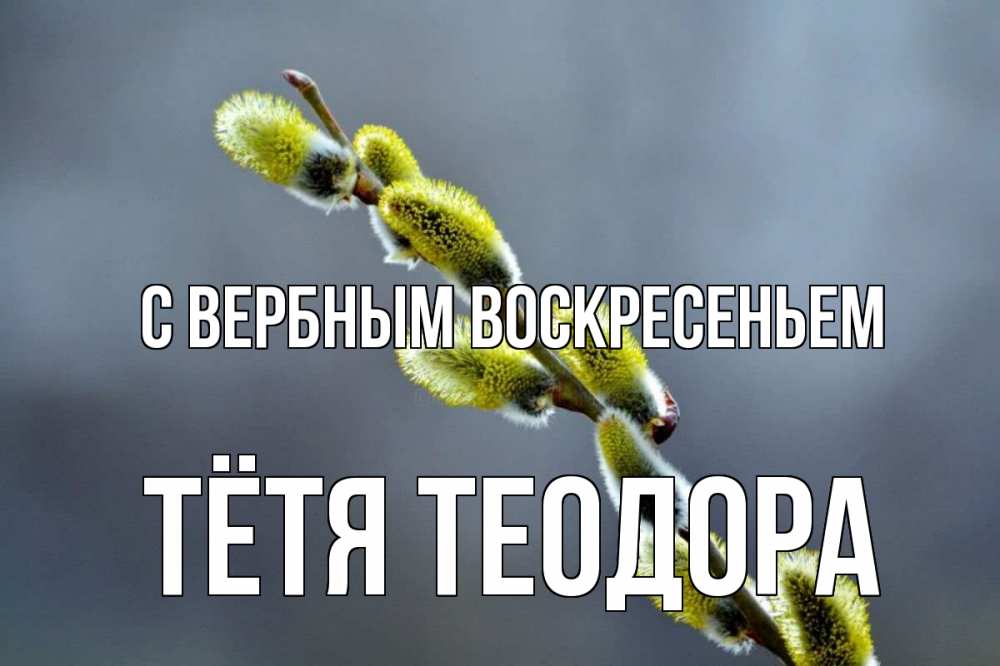 Открытка на каждый день с именем, Тётя-Теодора С вербным воскресеньем верба Прикольная открытка с пожеланием онлайн скачать бесплатно 