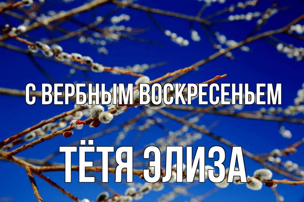 Открытка на каждый день с именем, Тётя-Элиза С вербным воскресеньем верба Прикольная открытка с пожеланием онлайн скачать бесплатно 