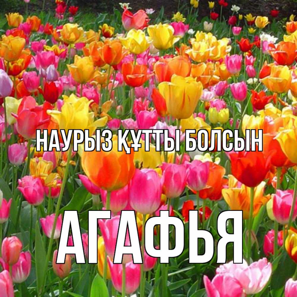 Открытка на каждый день с именем, Агафья Наурыз құтты болсын на наурыз  ура ура Прикольная открытка с пожеланием онлайн скачать бесплатно 