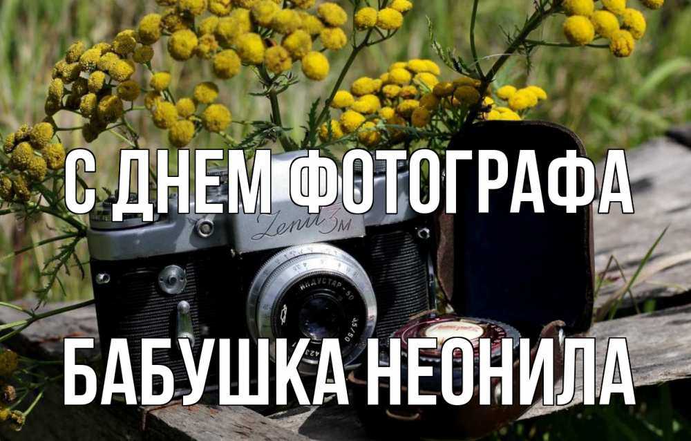 Открытка на каждый день с именем, Бабушка-Неонила С днем фотографа с днем фотографа Прикольная открытка с пожеланием онлайн скачать бесплатно 