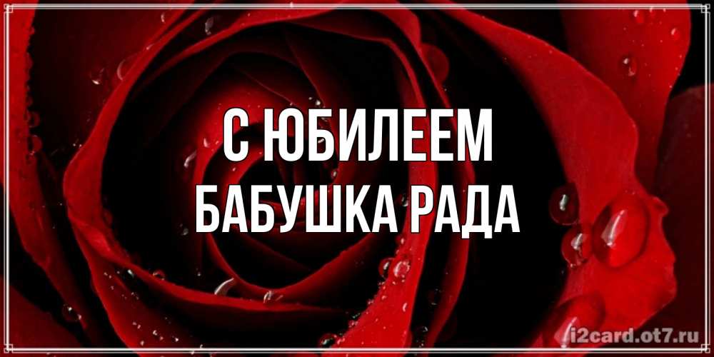Открытка на каждый день с именем, Бабушка-Рада С юбилеем крупная бордовая роза Прикольная открытка с пожеланием онлайн скачать бесплатно 