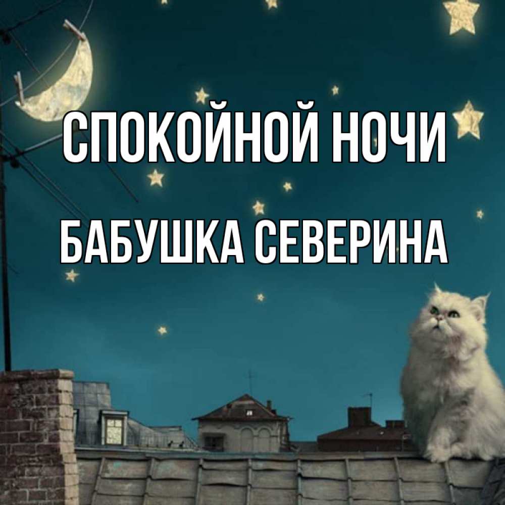 Открытка на каждый день с именем, Бабушка-Северина Спокойной ночи белый кот сидит на крыше Прикольная открытка с пожеланием онлайн скачать бесплатно 