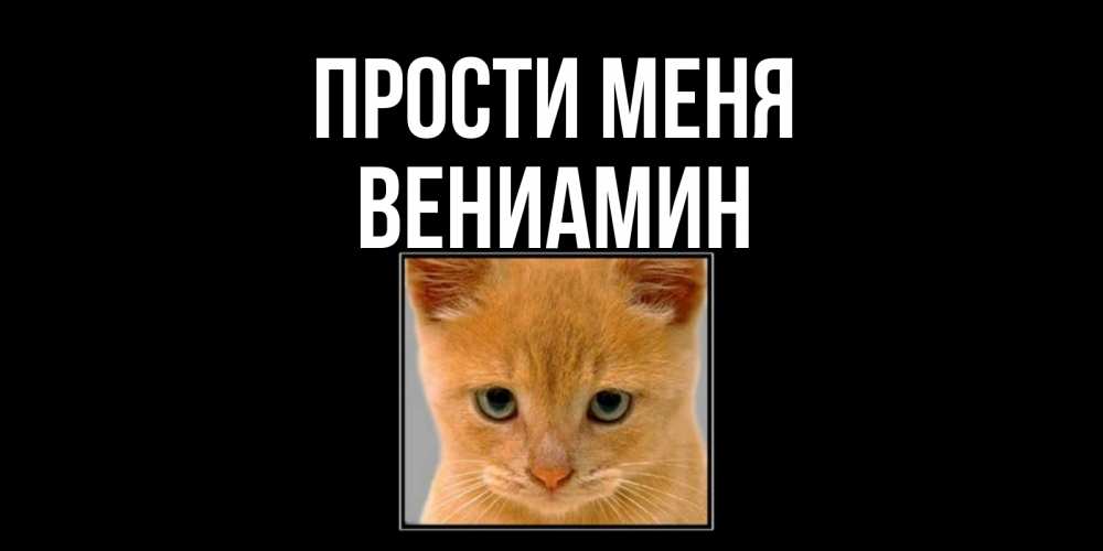 Открытка на каждый день с именем, Вениамин Прости меня рыжий грустный кот просит прощения Прикольная открытка с пожеланием онлайн скачать бесплатно 