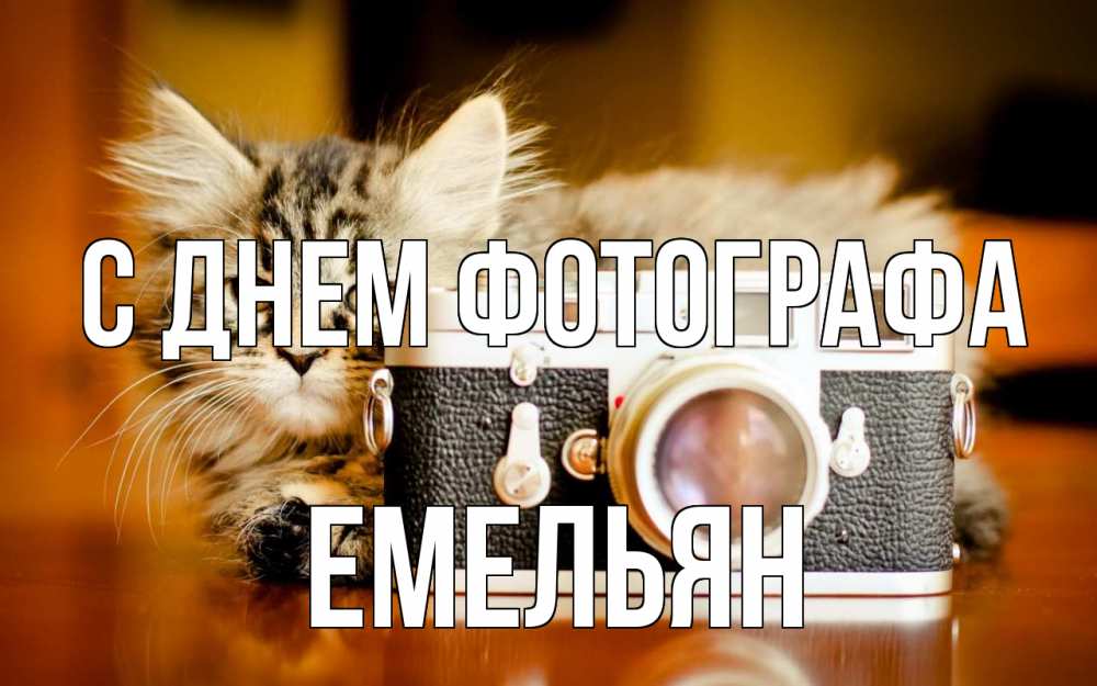 Открытка на каждый день с именем, Емельян С днем фотографа с днем фотографа Прикольная открытка с пожеланием онлайн скачать бесплатно 