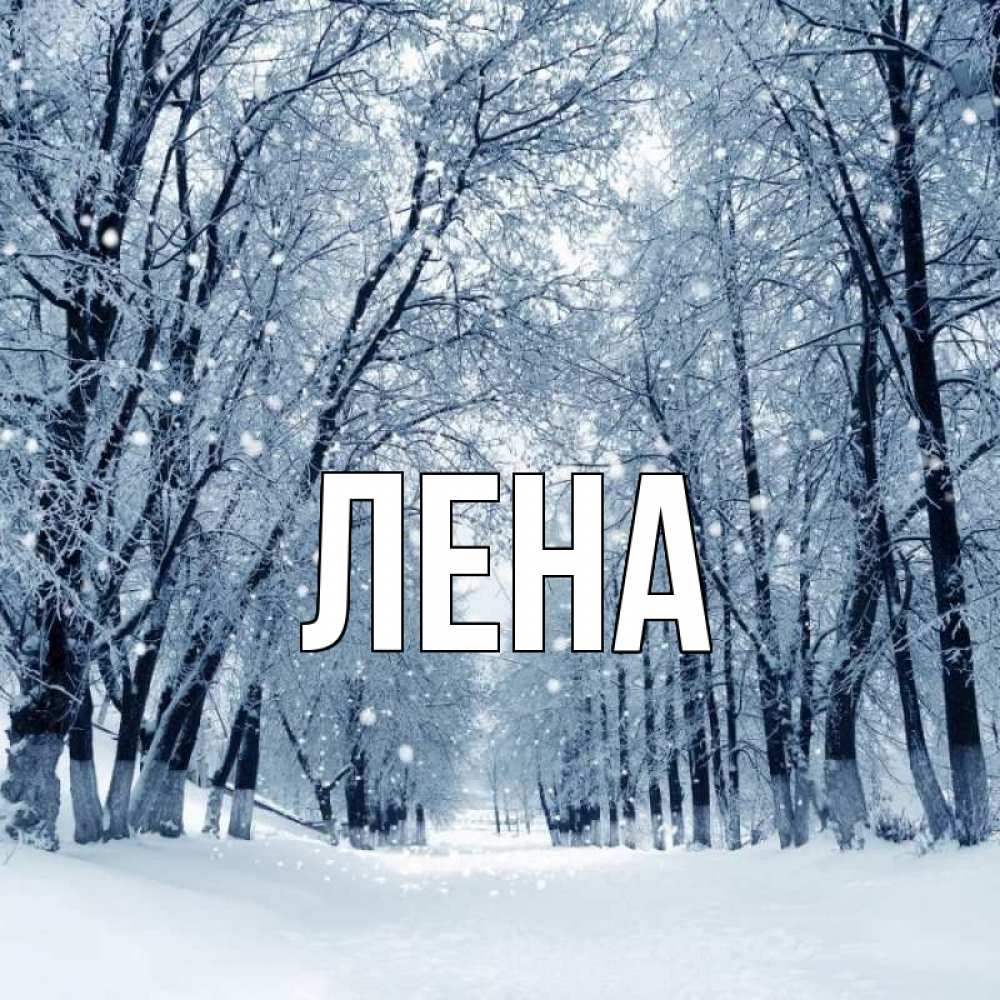 Открытка на каждый день с именем, Лена Главная снег, лес, парк Прикольная открытка с пожеланием онлайн скачать бесплатно 