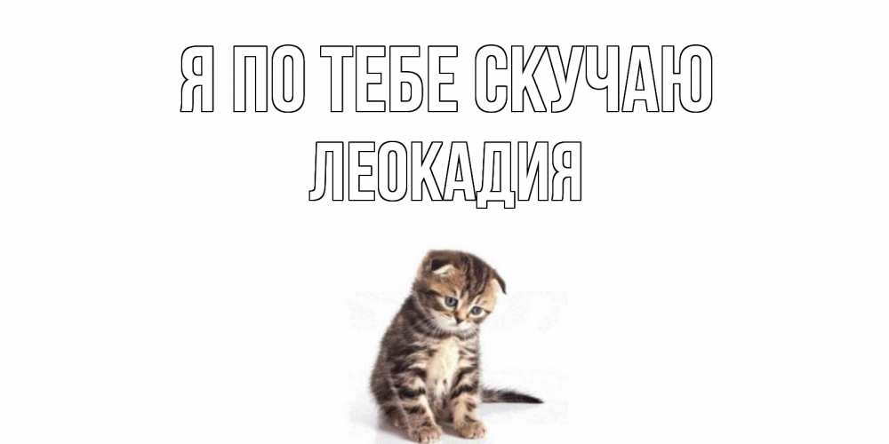 Открытка на каждый день с именем, Леокадия Я по тебе скучаю кот Прикольная открытка с пожеланием онлайн скачать бесплатно 