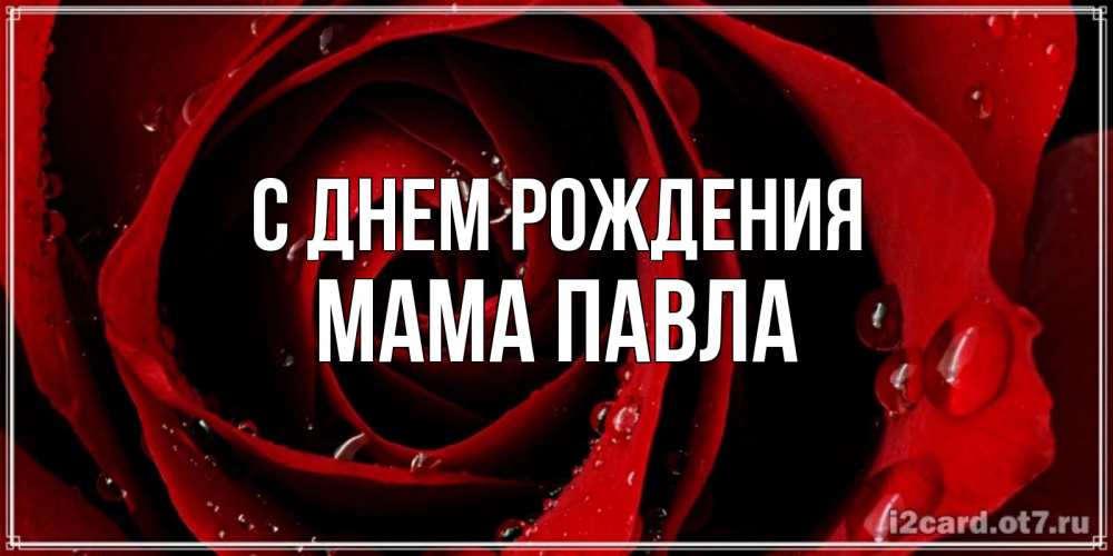 Открытка на каждый день с именем, Мама-Павла С днем рождения крупная бордовая роза Прикольная открытка с пожеланием онлайн скачать бесплатно 